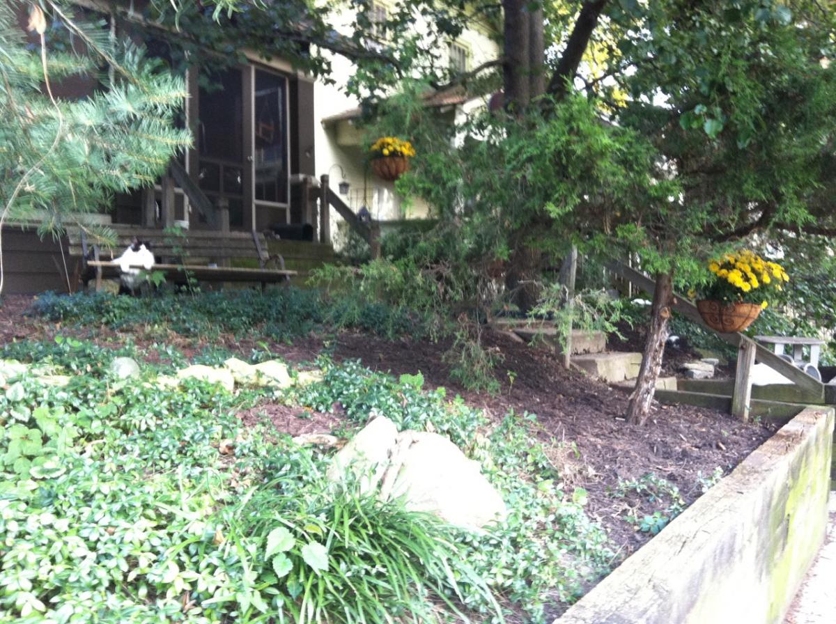 Draped in Yard