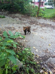 Exploring