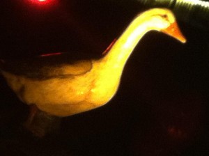 Goose