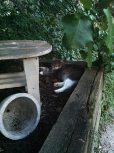 Hiding