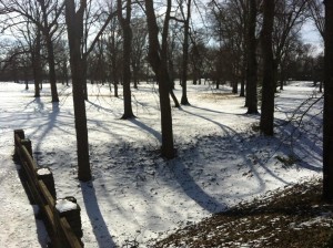 IMG_6378