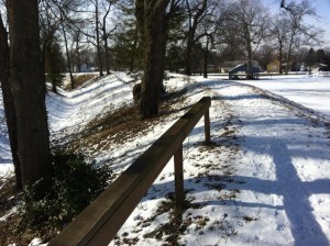 IMG_6382