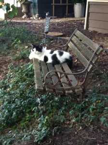 On a Bench 2